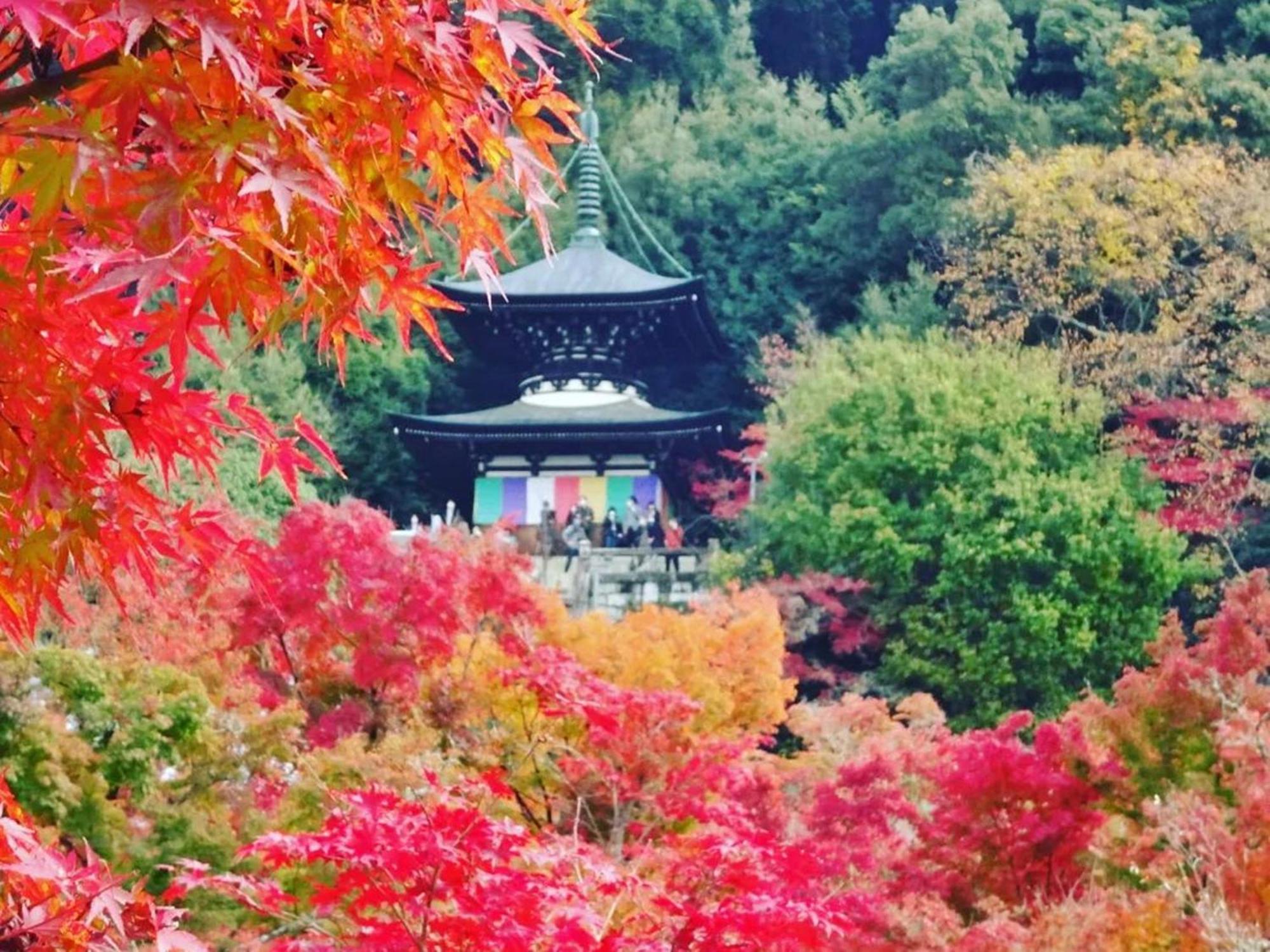 Yamamoto Ryokan Quioto Exterior foto